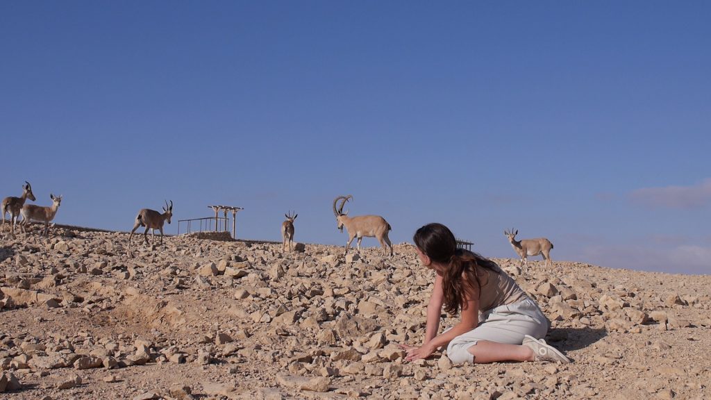 עבודה של הינדה ויס, מתוך התערוכה