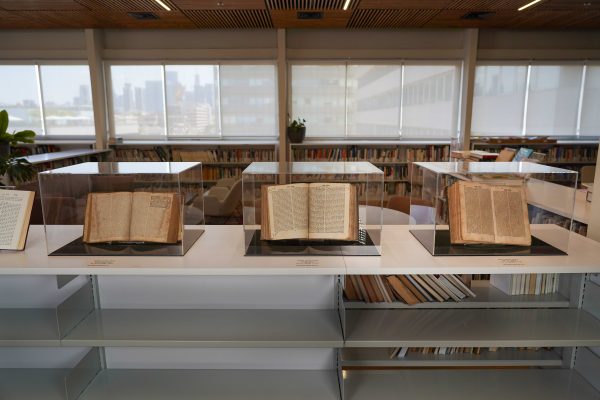 דניאל אלחסיד, מראה הצבה מתוך התערוכה בספריית מגדל שלום