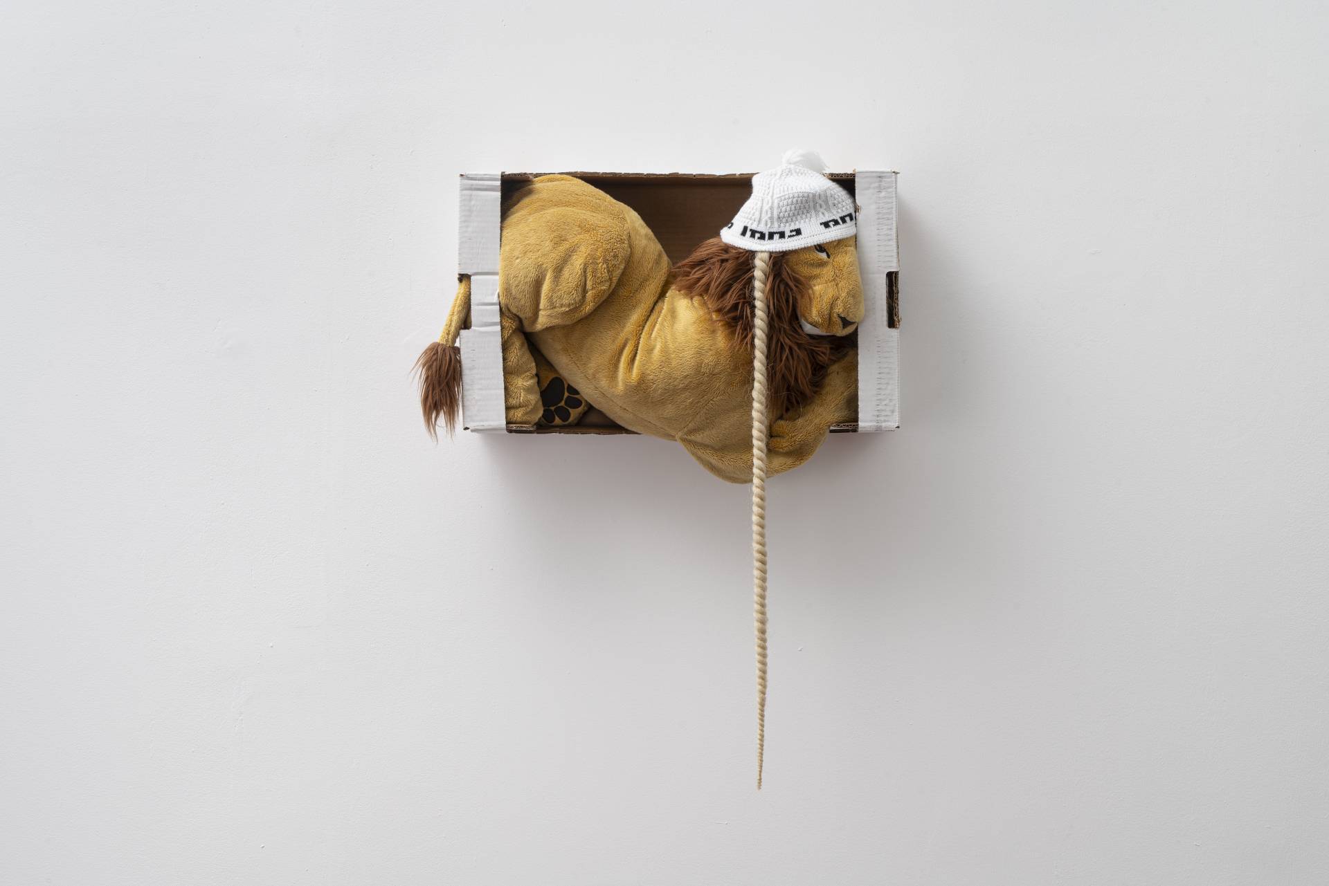 נעמה ערד, ללא כותרת 2025. צילום ליאת אלבלינג